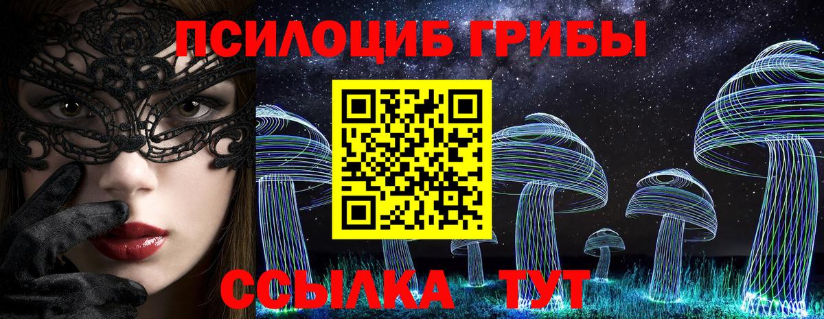 Железногорск  наркота  Псилоцибиновые грибы ЛСД  Вход с VPN  Псилоцибиновые грибы Psilocybe 